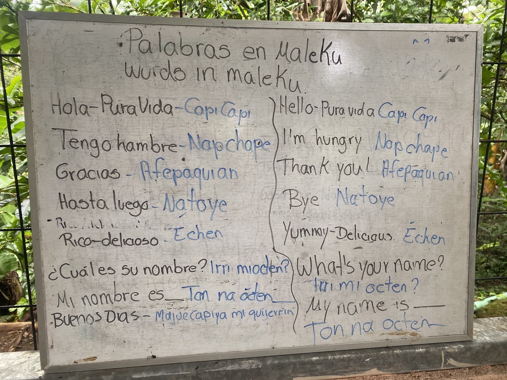 About the Maléku and their language