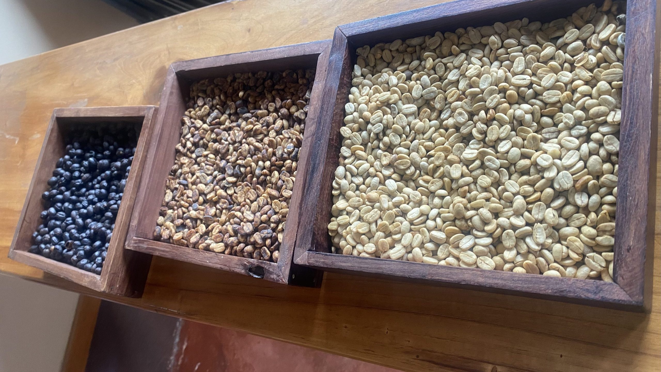 A Visit to Finca Life: Coffee in Central America