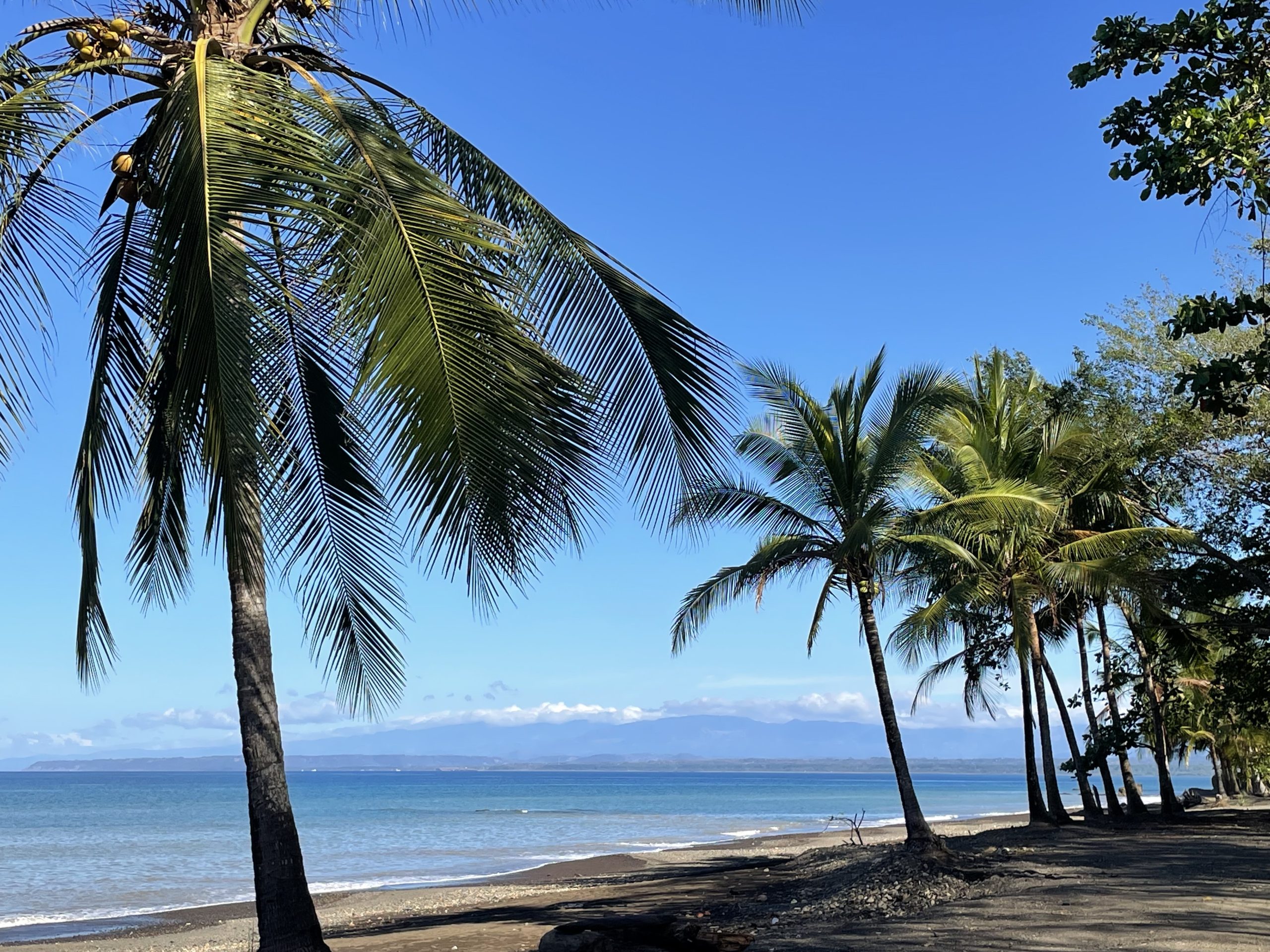 A trip to the beach (finally!)