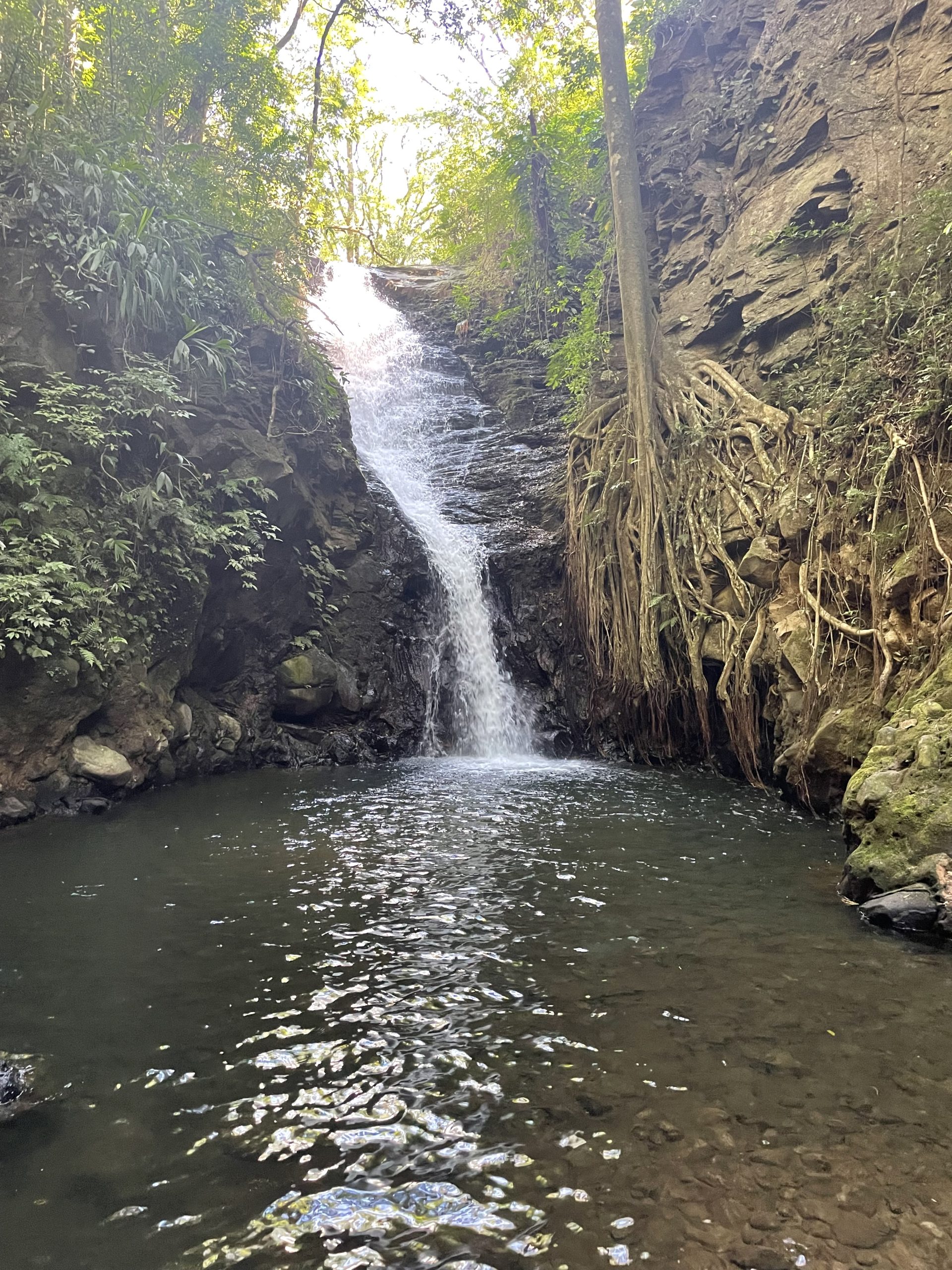 Amazing animal sightings at Murciélago Waterfall