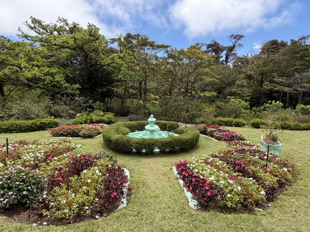 A picture of the attractive garden at Curi-Cancha Reserve